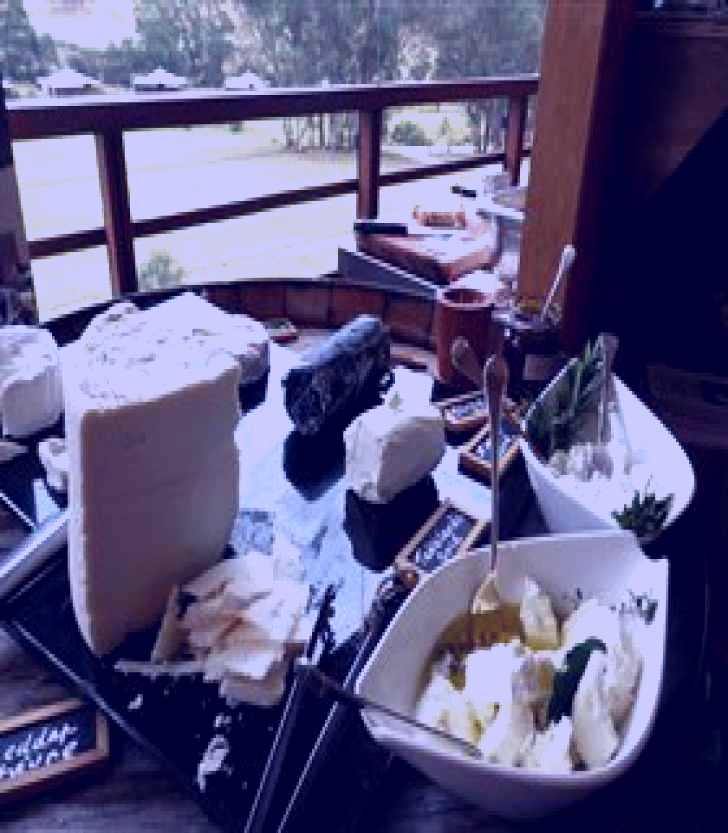 SubjectCoach | Jannei Artisan Cheese Makers