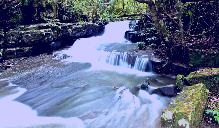 SubjectCoach | Jerusalem Creek trail