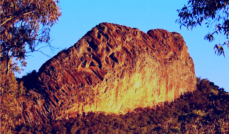 SubjectCoach | Kaputar scenic drive