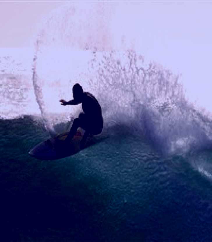 SubjectCoach | Killalea Beach