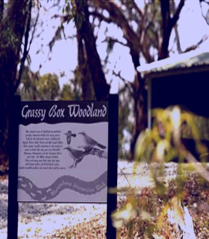 SubjectCoach | Kindra Forest
