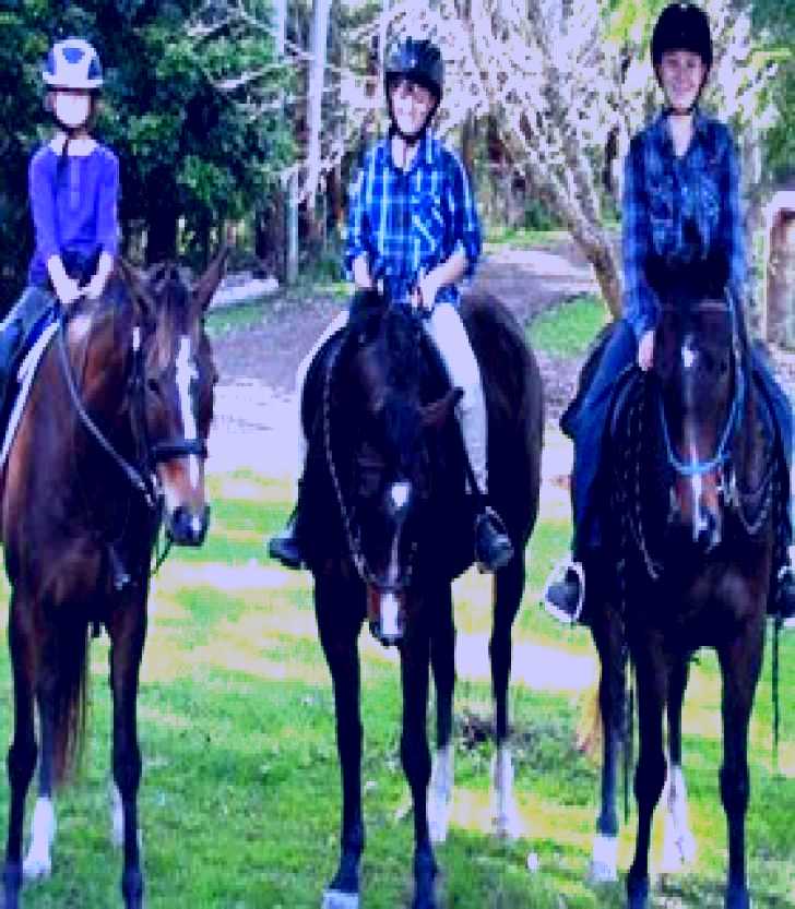 SubjectCoach | Kings Creek Saddle Club