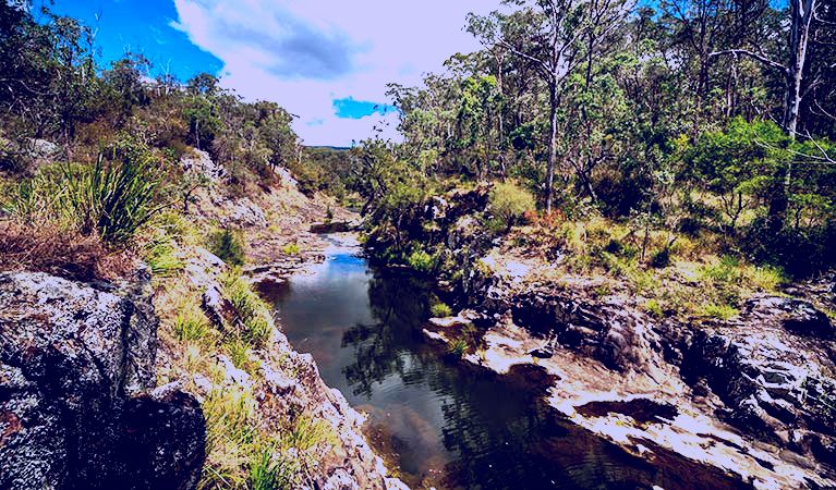 SubjectCoach | Koreelah National Park