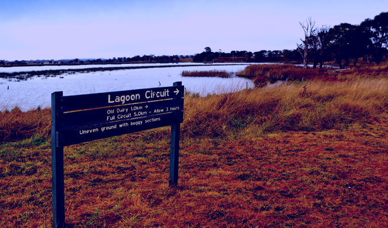 SubjectCoach | Lagoon Circuit walking track