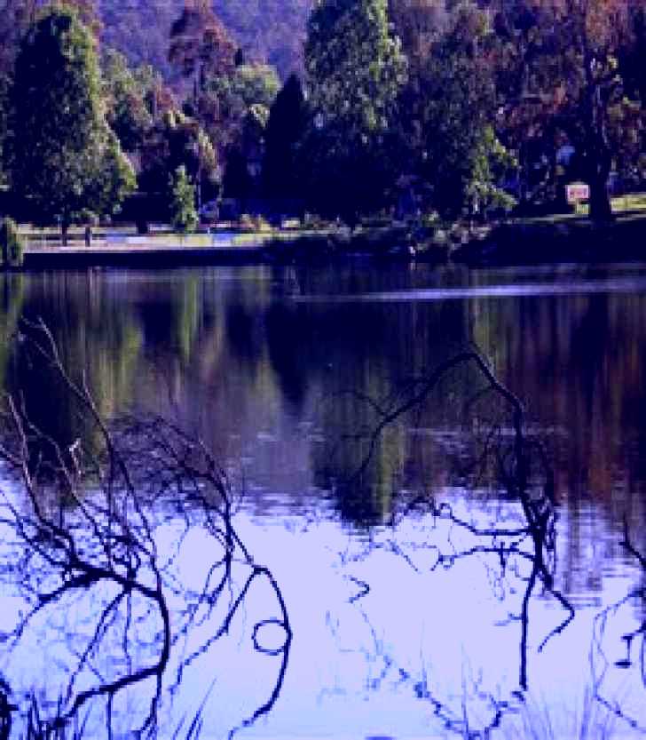 SubjectCoach | Lake Alexandra Reserve