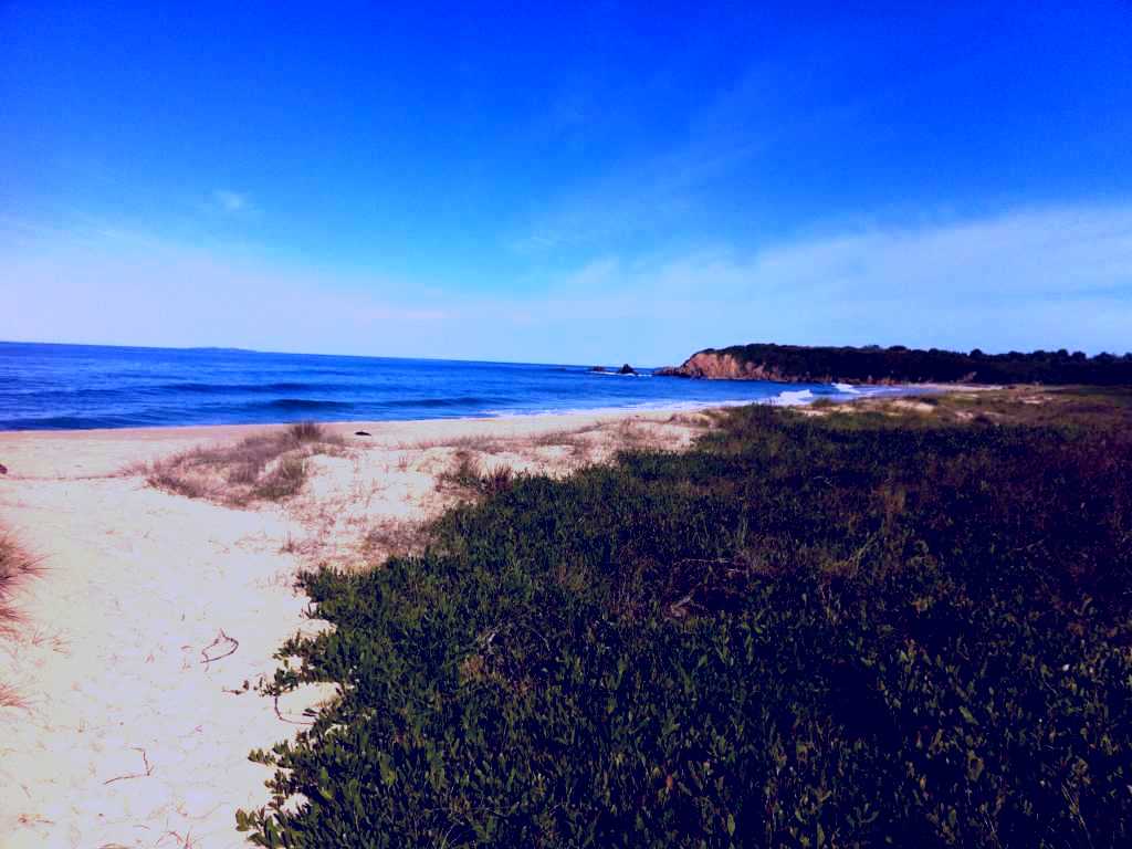 SubjectCoach | Lake Brou to Potato Point Walk