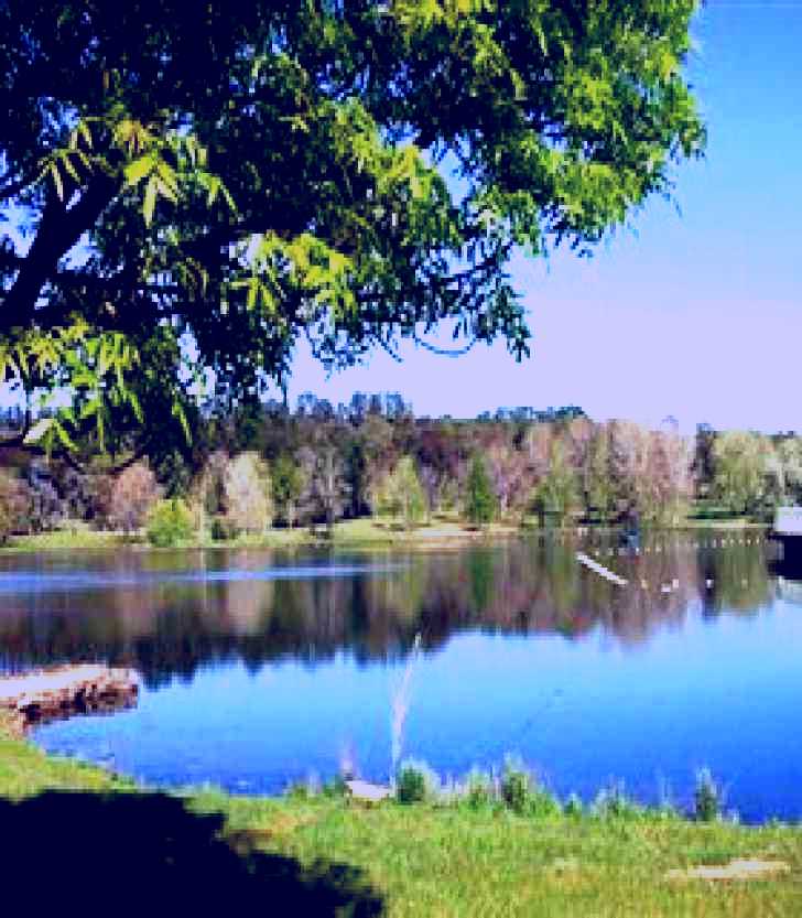 SubjectCoach | Lake Canobolas Reserve