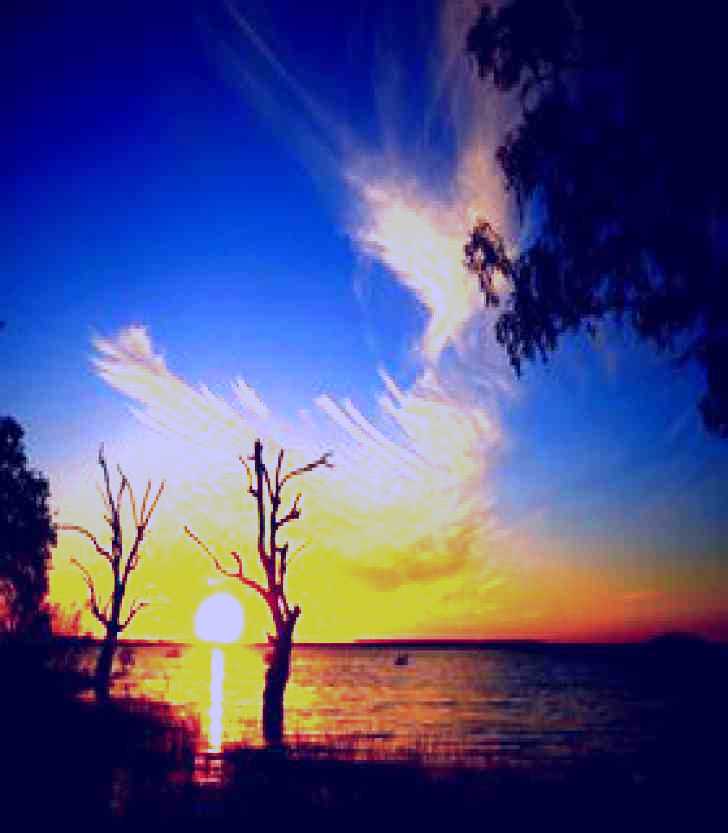 SubjectCoach | Lake Cowal