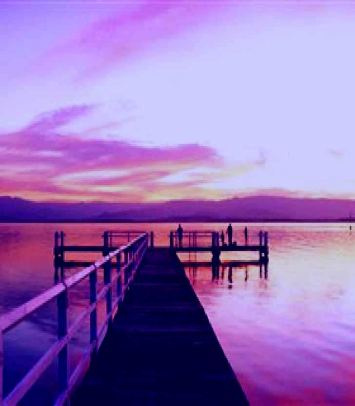 SubjectCoach | Lake Illawarra