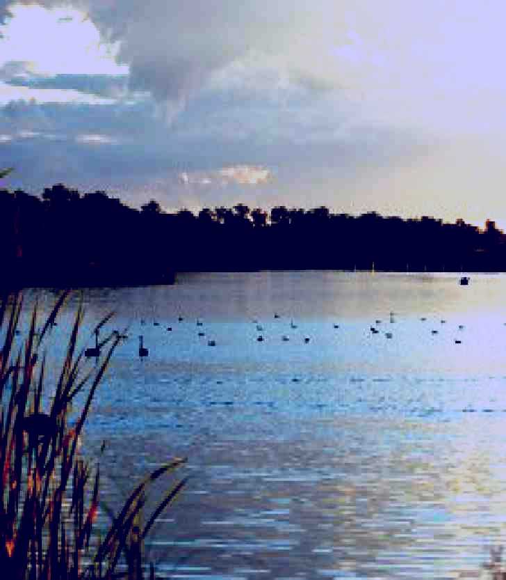 SubjectCoach | Lake Inverell Reserve