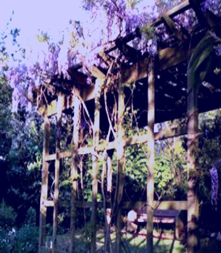 SubjectCoach | Lilian Fraser Garden