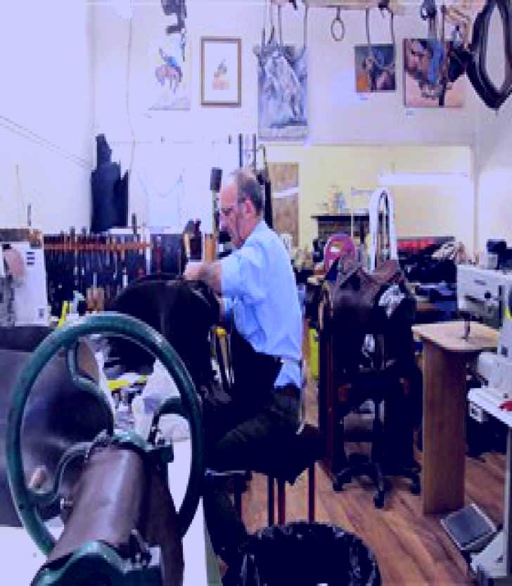 SubjectCoach | Lindsay Miller Saddlery and Harness