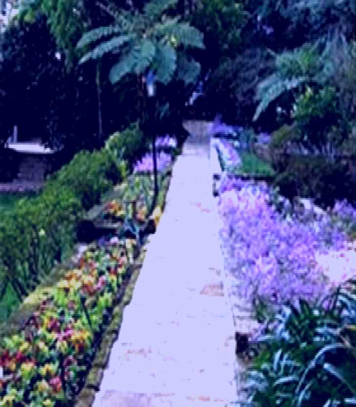 SubjectCoach | Lisgar Gardens