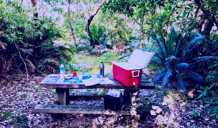 SubjectCoach | Little Llangothlin picnic area