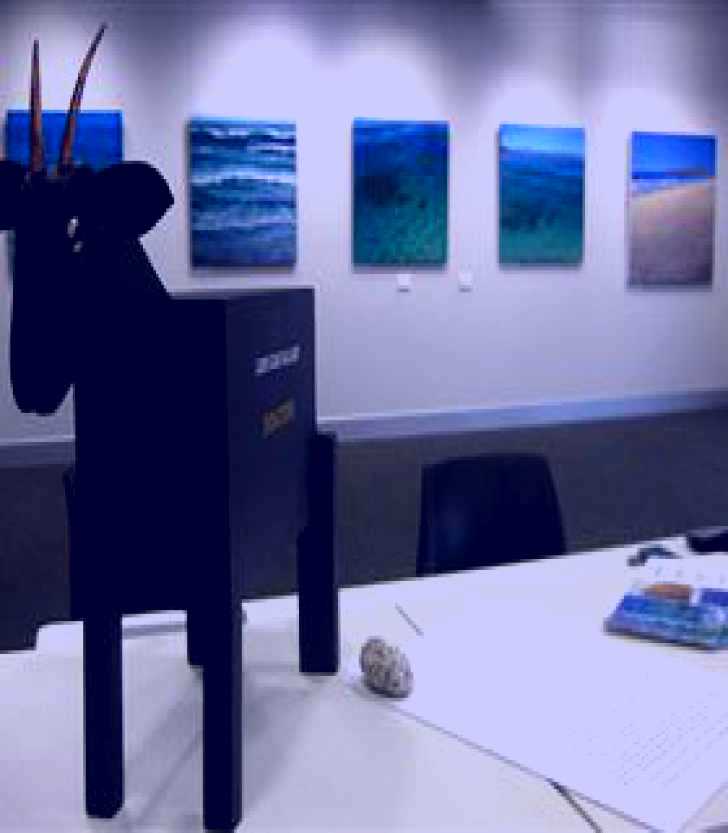 SubjectCoach | Lone Goat Gallery