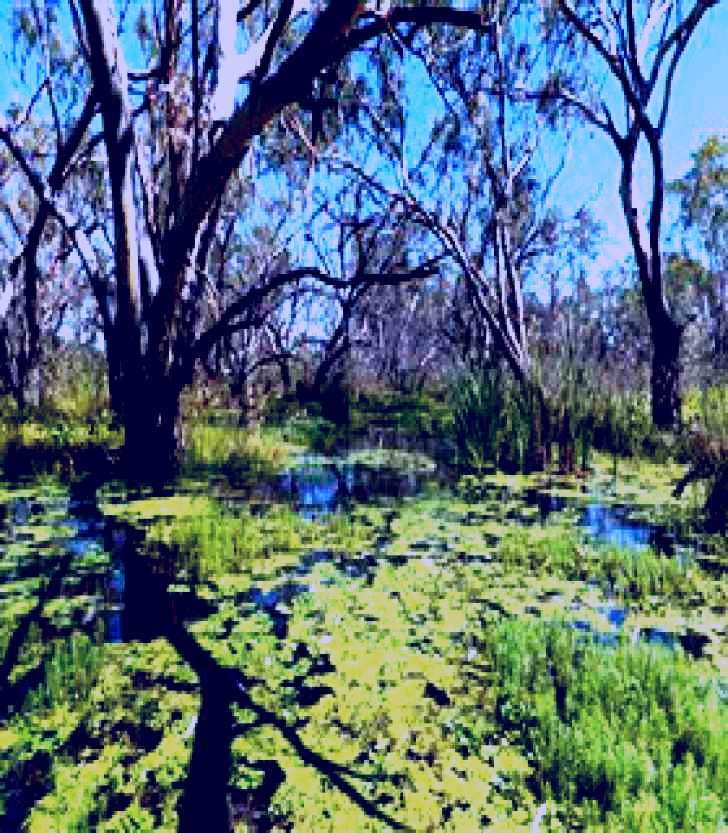 SubjectCoach | Macquarie Valley Trails