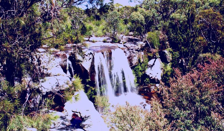 SubjectCoach | Maddens Falls