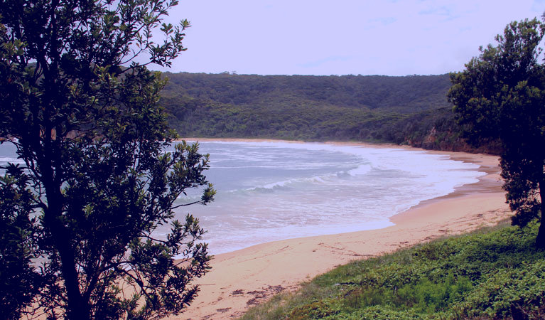 SubjectCoach | Maitland Bay track