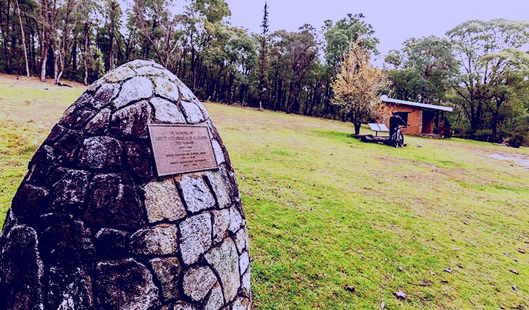 SubjectCoach | Major Clews Hut walking track