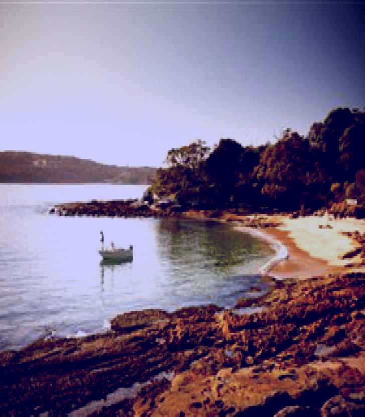 SubjectCoach | Manly to Spit Bridge Scenic Walkway