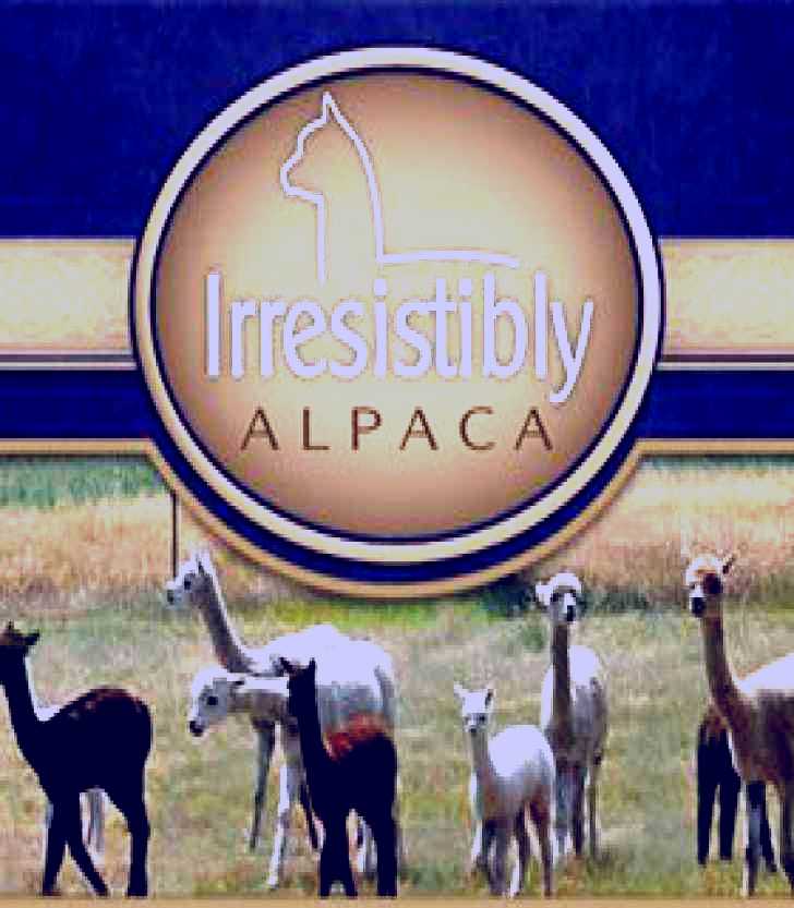 SubjectCoach | Marchmont Park Alpacas