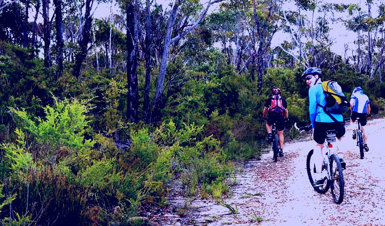 SubjectCoach | McMahon's Point ride - Wentworth Falls