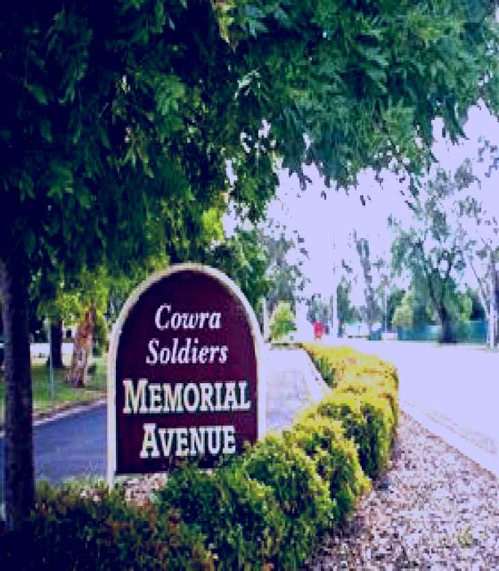 SubjectCoach | Memorial Avenue in Cowra
