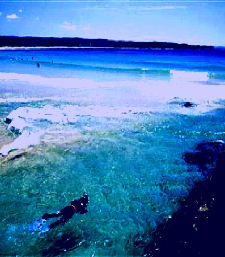 SubjectCoach | Merimbula Main Beach