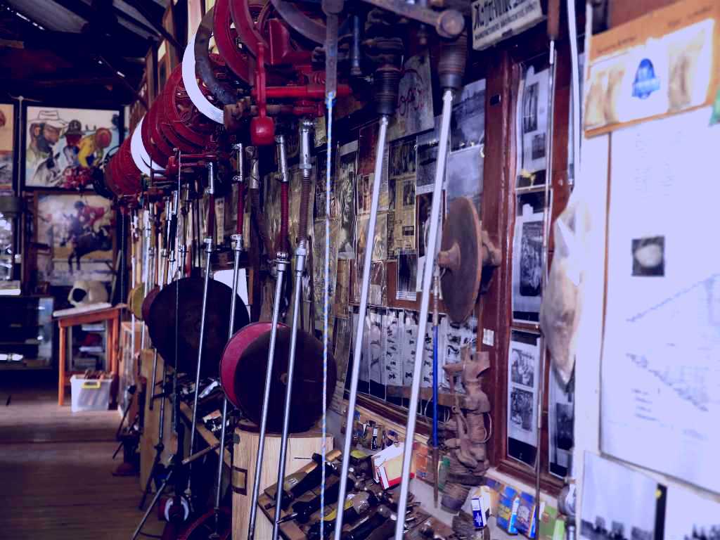 SubjectCoach | Mid-State Shearing Shed Museum