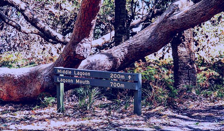 SubjectCoach | Middle Lagoon walking track