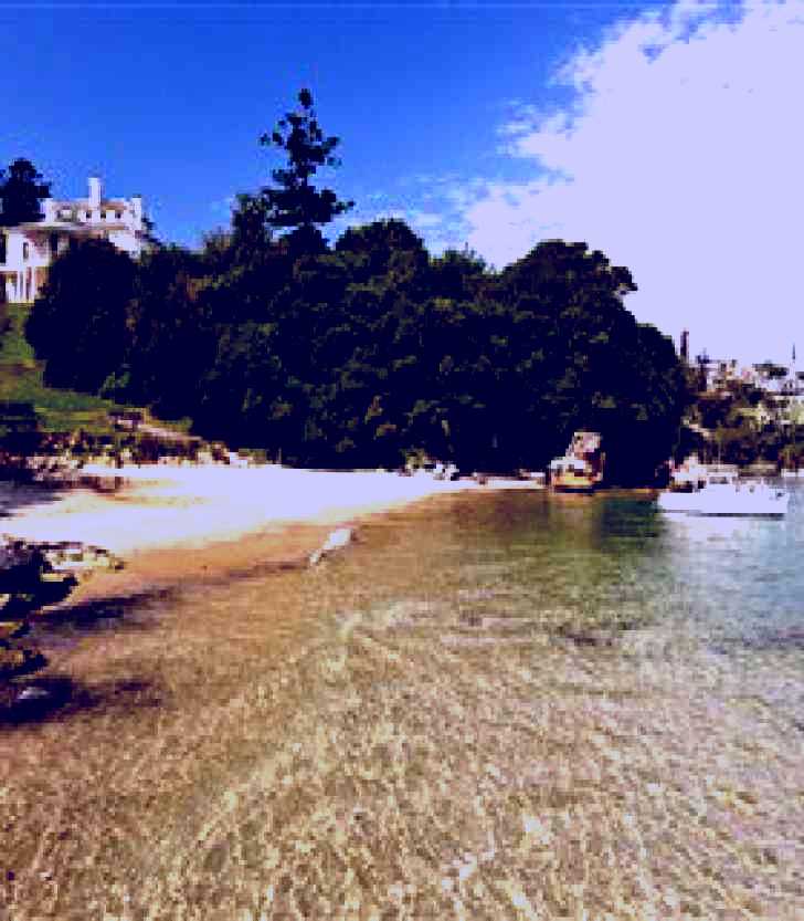 SubjectCoach | Milk Beach Vaucluse