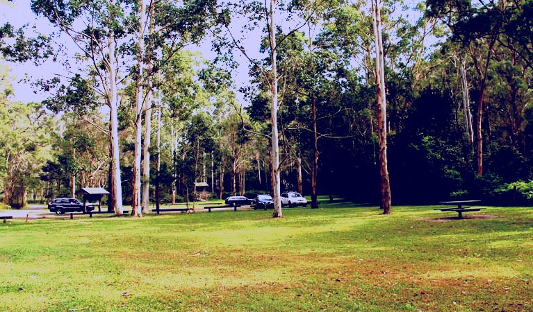 SubjectCoach | Mill Creek picnic area