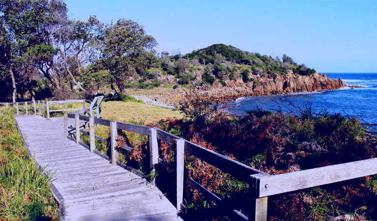 SubjectCoach | Mimosa Rocks walking track