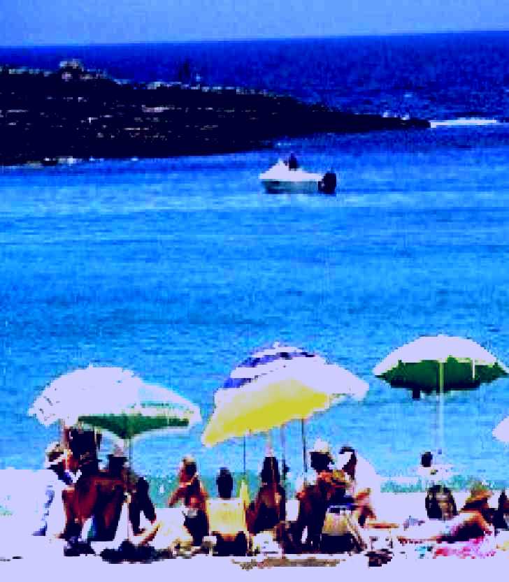 SubjectCoach | Mollymook Beach
