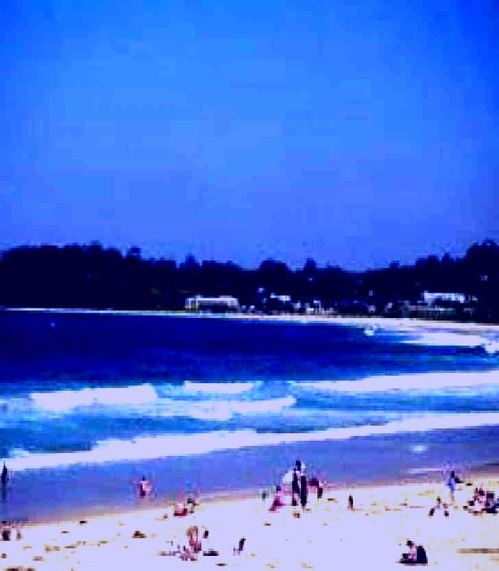 SubjectCoach | Mollymook Surf Beach