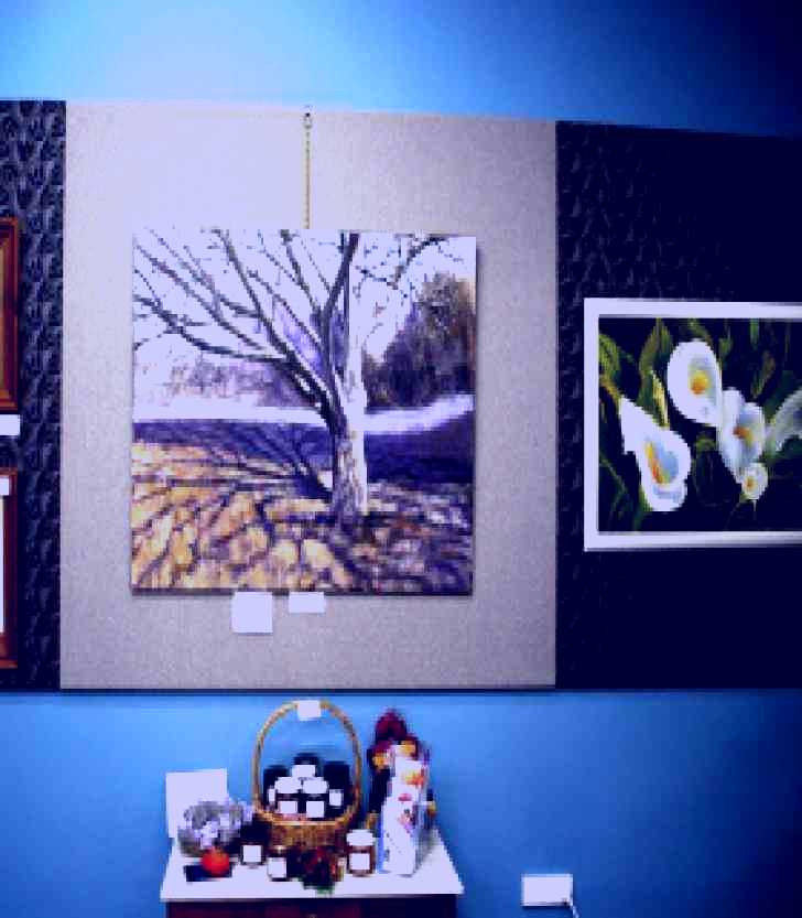 SubjectCoach | Monaro Art Groups Little Gallery