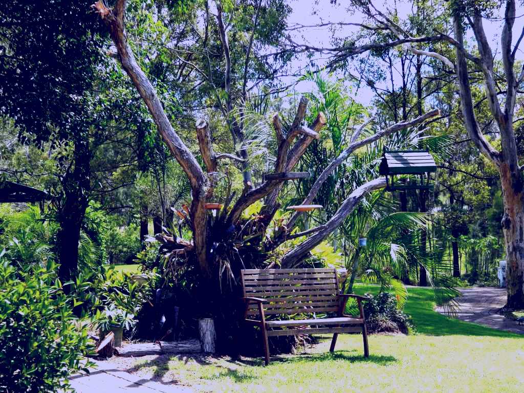 SubjectCoach | Mondrook Garden Cafe Gallery and Function Centre