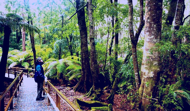 SubjectCoach | Monga National Park