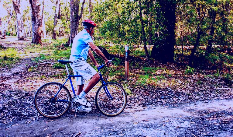 SubjectCoach | Monument Beach ride from Bendalong