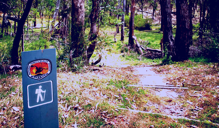 SubjectCoach | Moolarben picnic area