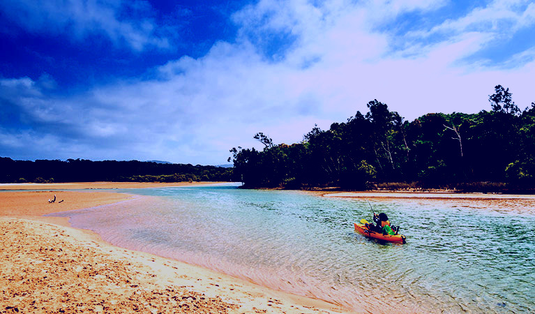 SubjectCoach | Moonee Beach Nature Reserve