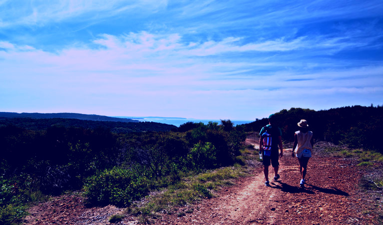 SubjectCoach | Moonee Beach trail