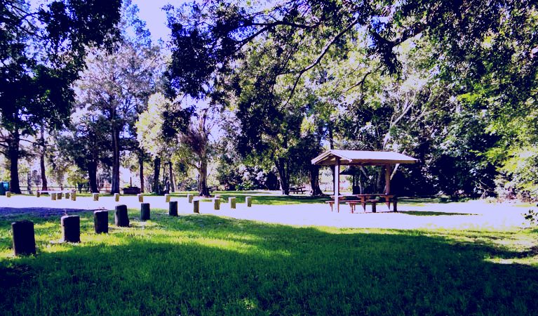 SubjectCoach | Moore Park picnic area