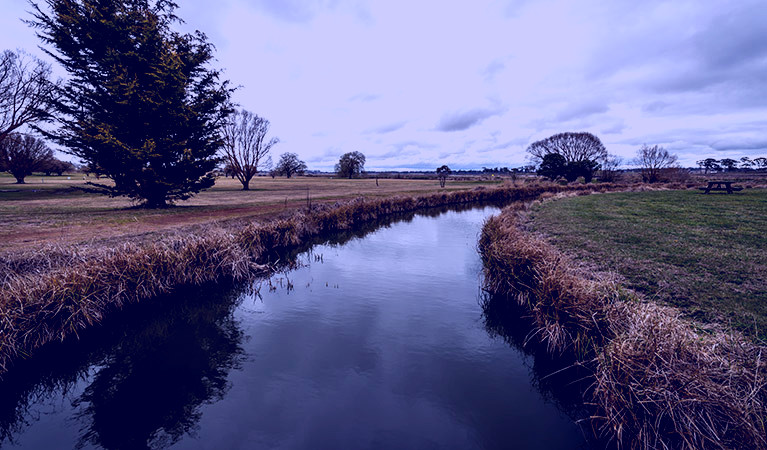 SubjectCoach | Mother of Ducks Lagoon Nature Reserve