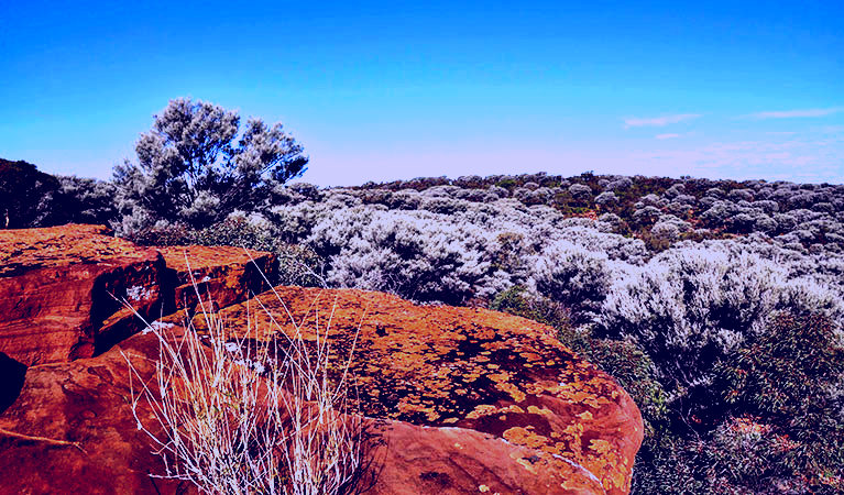 SubjectCoach | Mount Grenfell Historic Site