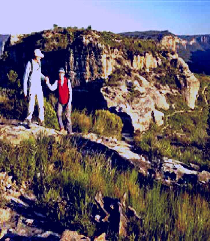 SubjectCoach | Mount Hay