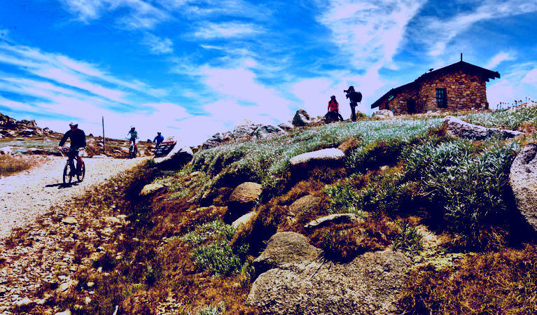 SubjectCoach | Mount Kosciuszko Summit walk