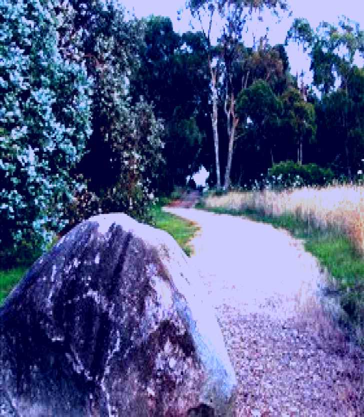 SubjectCoach | Mount Mutton Walking Trail