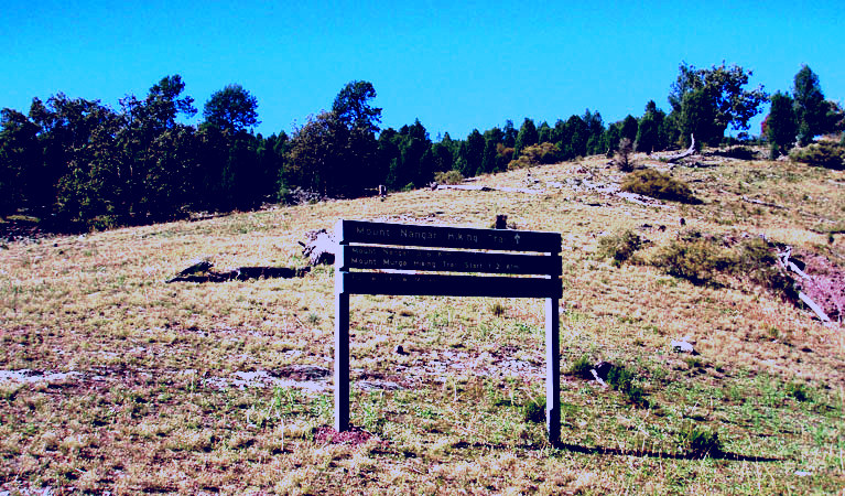 SubjectCoach | Mount Nangar walking track