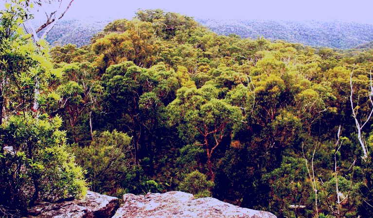 SubjectCoach | Mount Olive lookout